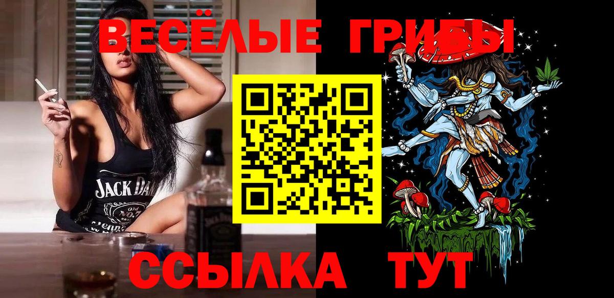 Псилоцибиновые грибы мицелий Рязань