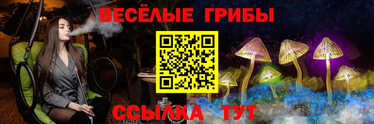 Галлюциногенные грибы Psilocybine cubensis  Вход с VPN  Рязань 